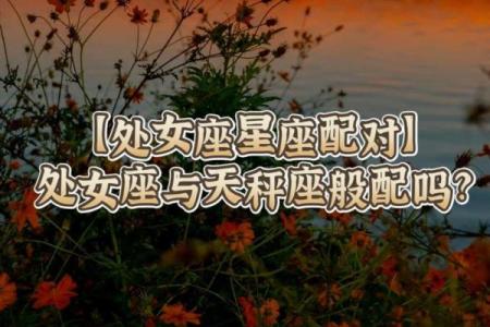 女生处女座和什么座最配对 处女座女和什么座最配对男