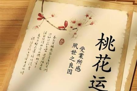 如何布置桃花运方位