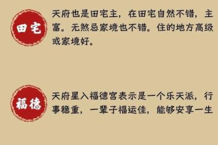 善良的紫薇斗数