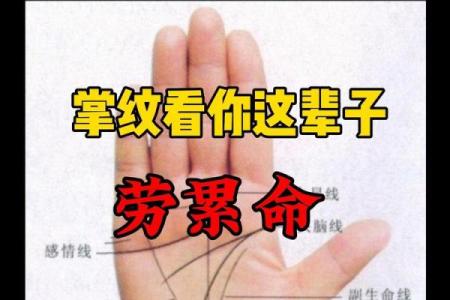 手相算命：什么样的手相最有偏财运