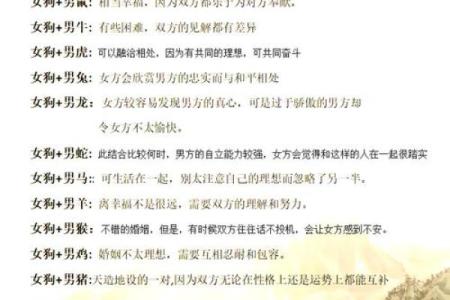 配对幸福一生的生肖