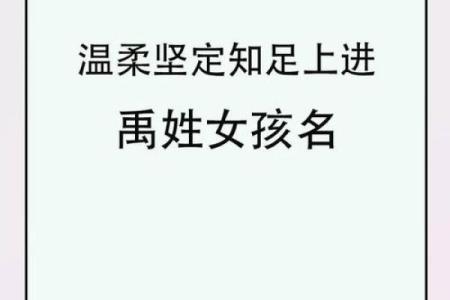 姓名配对查询软件下载 姓名配对专业版？