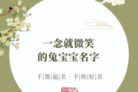 兔宝宝生辰八字