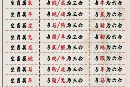生肖配血型前途最远大TOP3