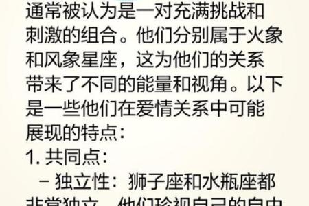 狮子座配对射手座的男生好吗