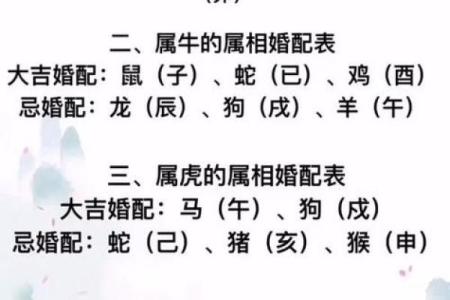 94年属什么的生肖是什么命 94年属什么的生肖配对