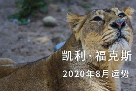 凯利7月星座运势怎么样
