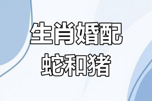 19岁属什么生肖配对 属蛇配对