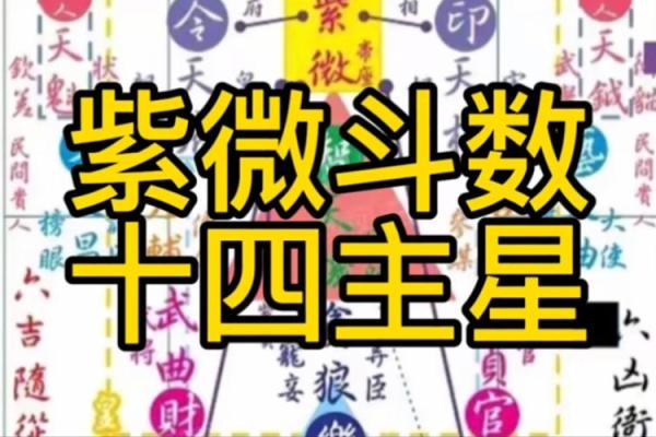 紫薇斗数中哪些属于财星
