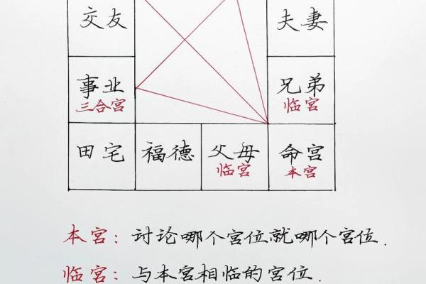紫薇斗数地啥意思