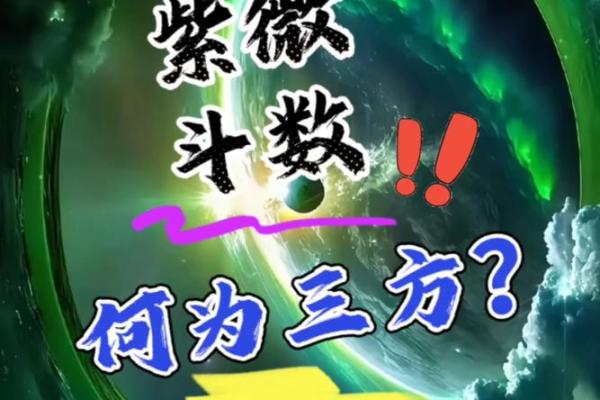 紫薇斗数地啥意思