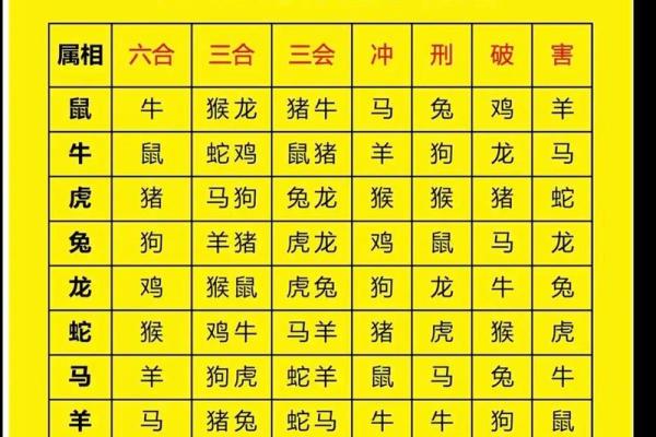 属蛇的男人应该与哪个生肖进行配对
