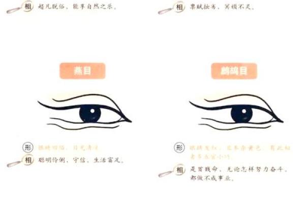 面相八字学：如何看懂一个人的性格与命运？