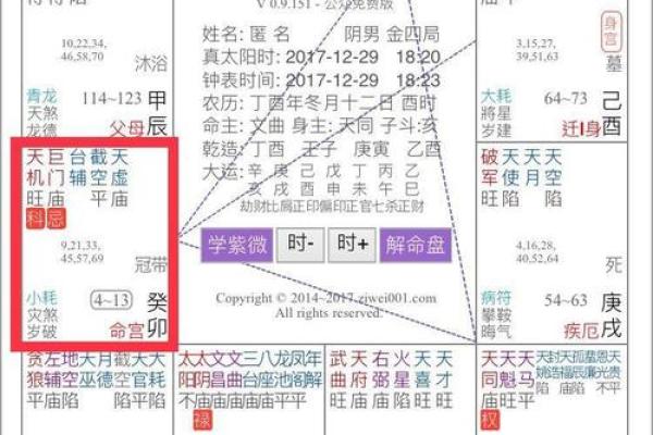 麦玲玲谈紫薇斗数