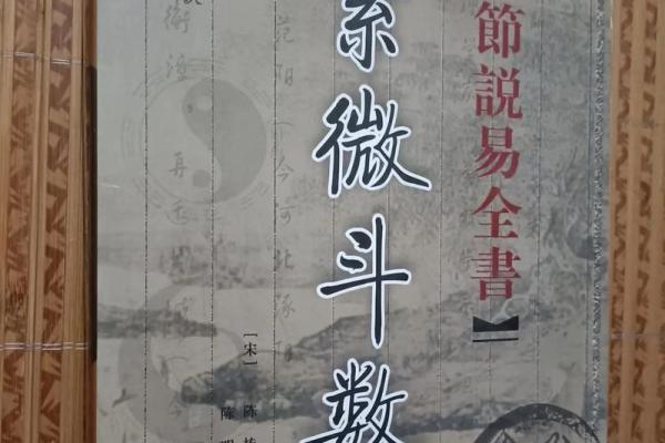 老鼠紫微斗数全书共几卷 老鼠 紫菀？