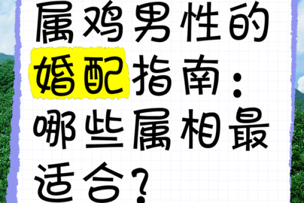 生肖配对属鼠属鸡的婚姻怎么样