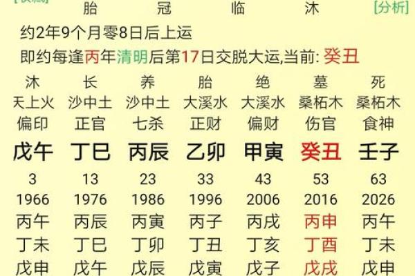 八字天元坐录详解：命盘分析、五行缺失、流年吉凶通解