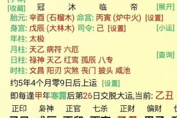 八字天元坐录详解：命盘分析、五行缺失、流年吉凶通解