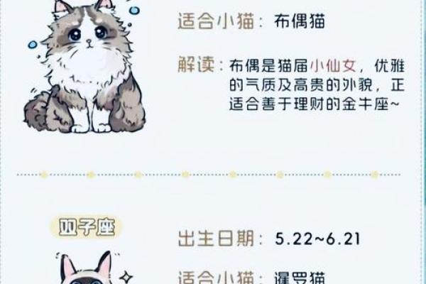 12星座长大开什么店最适合