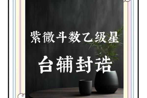 紫微斗数台辅星在命宫 台辅在命宫的女人？