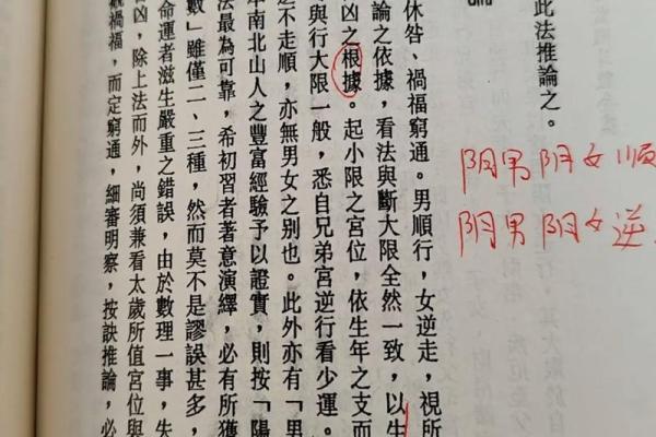 紫薇斗数小限是什么