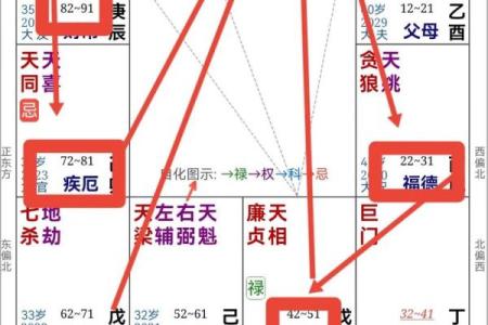 紫薇斗数全集文