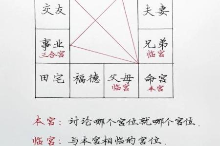 紫薇斗数地啥意思
