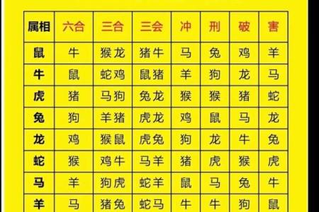 属蛇的男人应该与哪个生肖进行配对