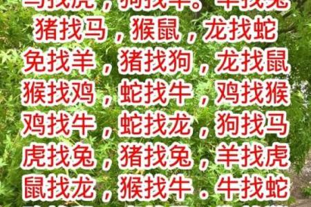 12生肖婚姻最佳配对 12生肖婚姻最佳配对表大全