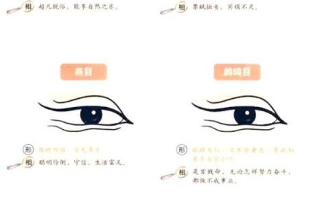 面相八字学：如何看懂一个人的性格与命运？