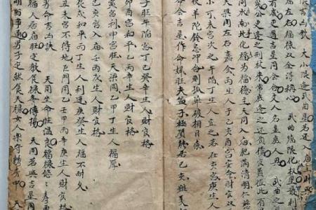 老鼠紫微斗数全书共几卷 老鼠 紫菀？