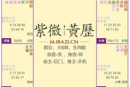 紫薇斗数哪个版本好看