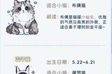 12星座长大开什么店最适合