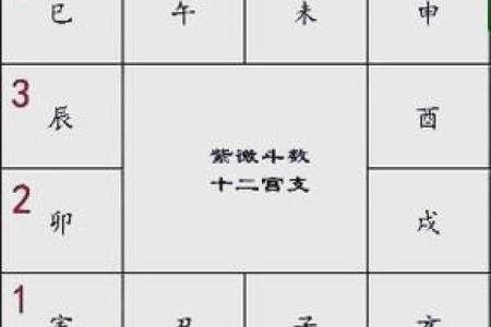 紫薇斗数排盘群