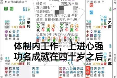 紫薇斗数先天命盘和大运命盘什么意思