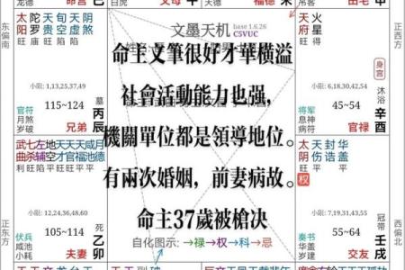 紫薇斗数小限是什么