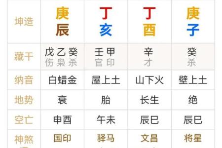 命运树算命