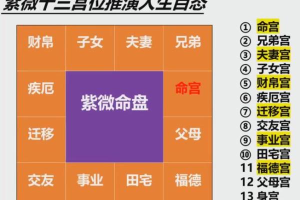 紫薇斗数兄弟代表