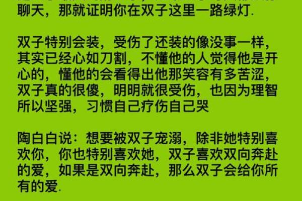 哪两位诗人被称为双子星座之子