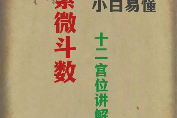 紫薇斗数由来