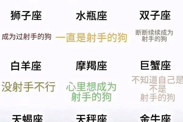 射手座是12星座最独特的吗英文