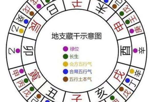 金口诀排盘怎么看