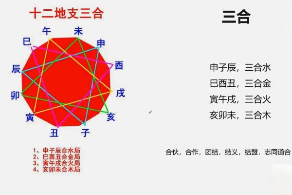 八字命理中的八字地支三合局