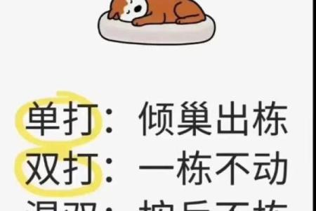 测试姓名配对游戏文案搞笑 测试姓名配对游戏文案搞笑句子？