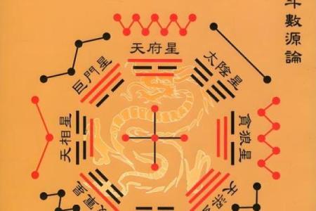 紫薇斗数府相