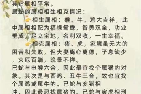 属猪和属鼠的八字合吗