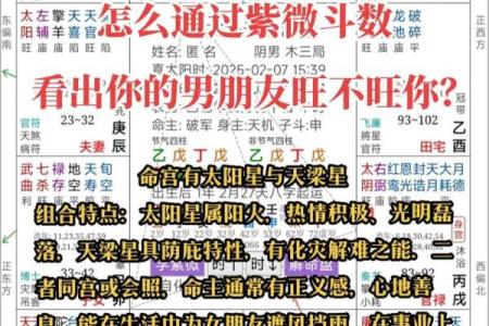 紫薇斗数算命准吗