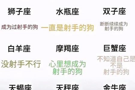 射手座是12星座最独特的吗英文