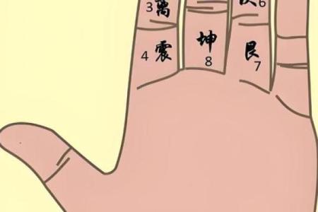 算命中指的官是什么