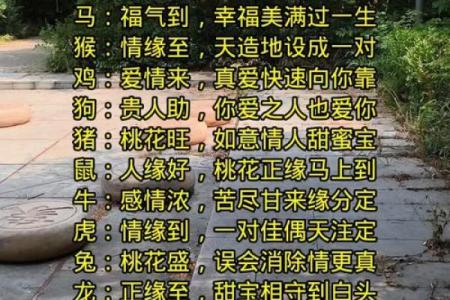 免费缘分测试配对,免费缘分测算